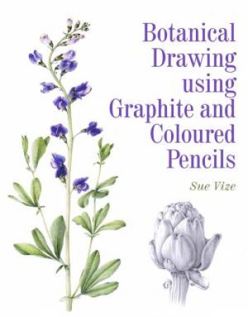 Botanical Drawing Using Graphite and Coloured Pencils by VIZE SUE