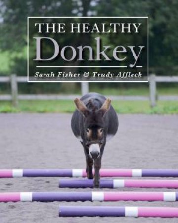 Healthy Donkey by FISHER / AFFLECK