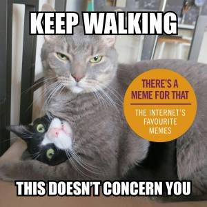 Keep Walking, This Doesn't Concern You: The Internet's Favourite Memes by Various