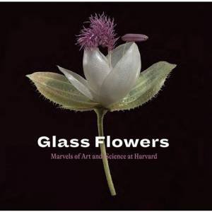 Glass Flowers: Marvels Of Art And Science At Harvard by Various