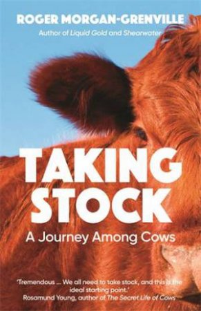 Taking Stock by Roger Morgan-Grenville