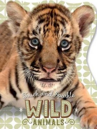 Touch & Sparkle: Wild Animals by Various