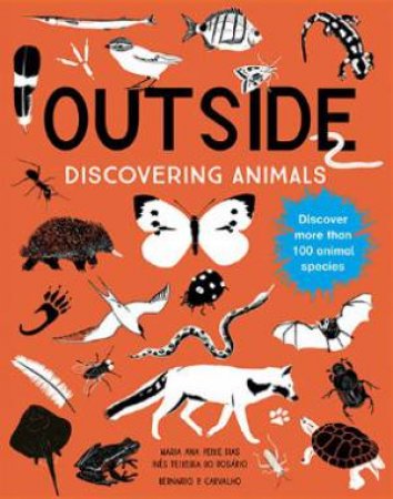 Outside: Discovering Animals by Maria Ana Peixe Dias, Ines Teixeira do Rosario & Bernardo P. Carvalho