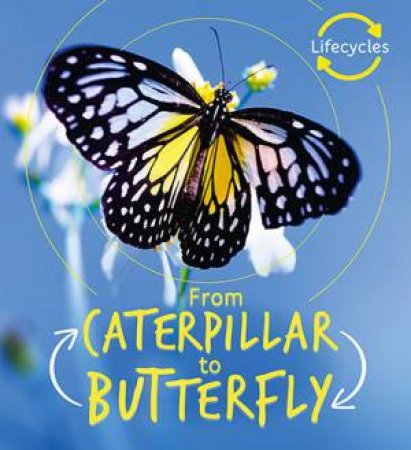 Caterpillar To Butterfly (Lifecycles) by Camilla de la Bedoyere