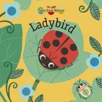 Ladybird Tales From Nature