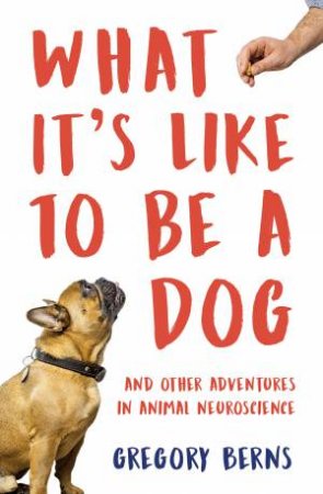 What It's Like To Be A Dog by Gregory Berns