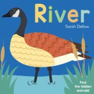 Now You See It! River by Sarah Dellow