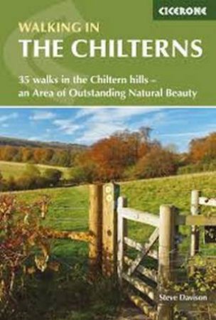 Walking In The Chilterns by Steve Davison