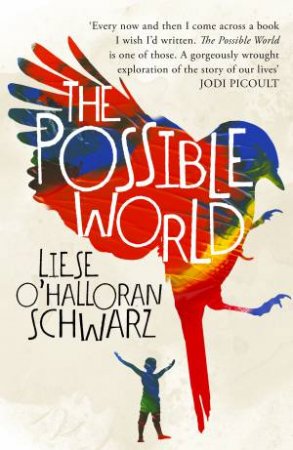 The Possible World by Liese O'Halloran Schwarz