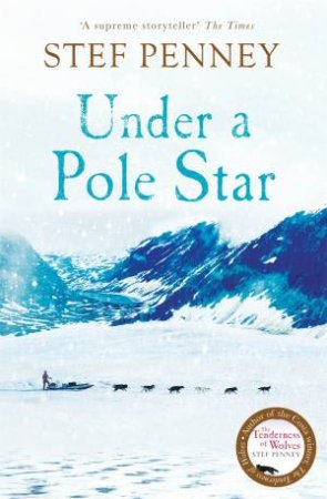 Under A Pole Star by Stef Penney