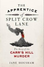 The Apprentice of Split Crow Lane