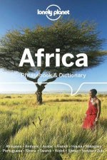 Lonely Planet Africa Phrasebook  Dictionary 3rd Ed