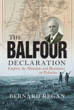 The Balfour Declaration Empire the Mandate and Resistance in Palestine