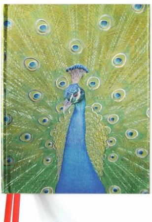 Sketch Book: Peacock In Blue And Green by Various