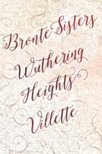 Bronte Sisters Deluxe Edition Wuthering HeightsVillette