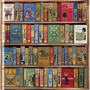 Jigsaw: Bodleian Library, High Jinks! Bookshelves 1000 Pieces by Various