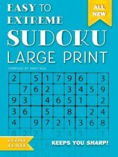 Sudoku Large Print Blue