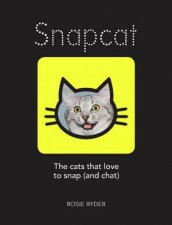 Snapcat The Cats That Love To Snap And Chat