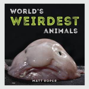 World's Weirdest Animals by Matt Roper