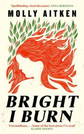 Bright I Burn by Molly Aitken