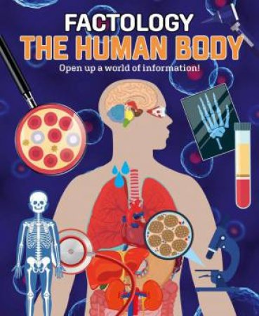 Factology: The Human Body by BUTTON BOOKS