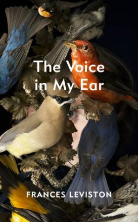 The Voice In My Ear by Frances Leviston