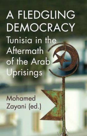 A Fledgling Democracy by Mohamed Zayani