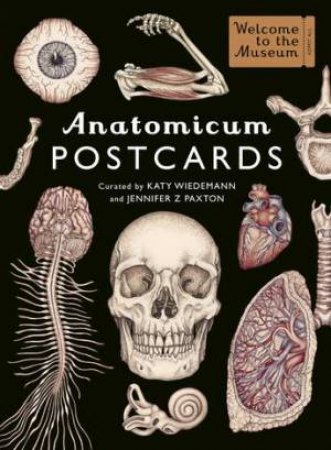 Anatomicum Postcard Box by Jennifer Z Paxton & Katie Wiedeman