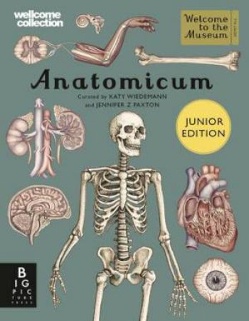 Anatomicum Junior by Katy Wiedemann & Jennifer Z Paxton