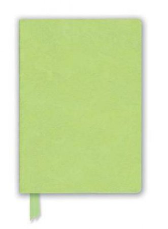 Artisan Notebook: Pale Mint Green by Various