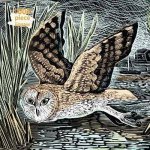 Jigsaw 1000Piece Marsh Owl