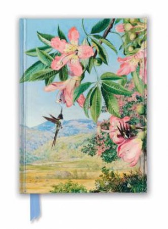 Foiled Journal: Kew Gardens' Marianne North, Foliage And Flowers by Various