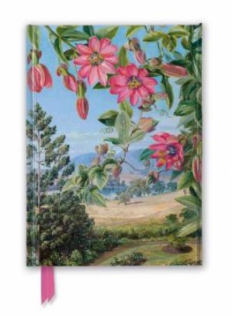 Foiled Journal: Kew Gardens' Marianne North, View In The Brisbane Botanic Garden by Various