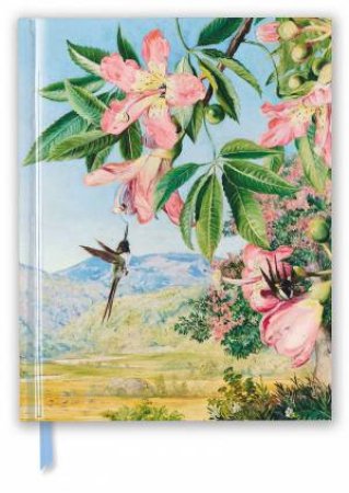 Sketch Book Kew Gardens, Foliage And Flowers By Marianne North by Various