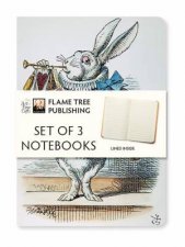 Mini Notebook Collection Alice In Wonderland Set Of 3