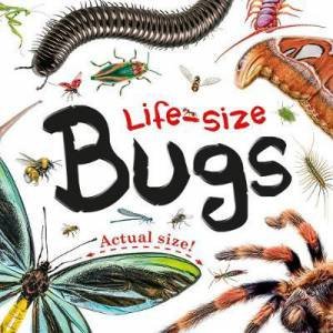 Life-Size: Bugs