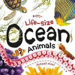 LifeSize Ocean Animals