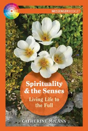 Spirituality And The Senses by Catherine Mccan