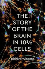 The Story of the Brain in 10 Cells