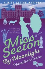 Miss Seeton By Moonlight