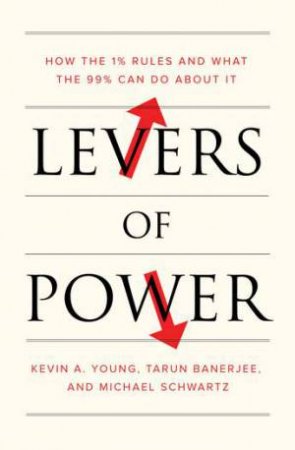 Levers Of Power by Michael Schwartz & Tarun Banerjee