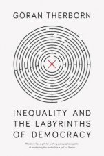 Inequality And The Labyrinths Of Democracy