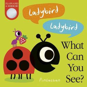 Ladybird! Ladybird! What Can You See? by Amelia Hepworth & Pintachan