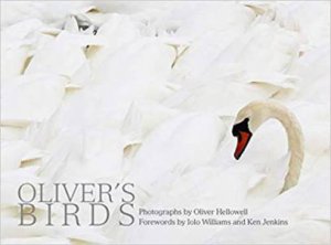 Oliver's Birds: Photographs By Oliver Hellowell by Oliver Hellowell