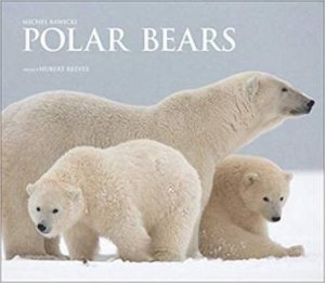 Polar Bears: A Life Under Threat by Michel Rawicki