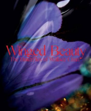 Winged Beauty: The Butterflies Of Wallace Chan by Emily Stoehrer