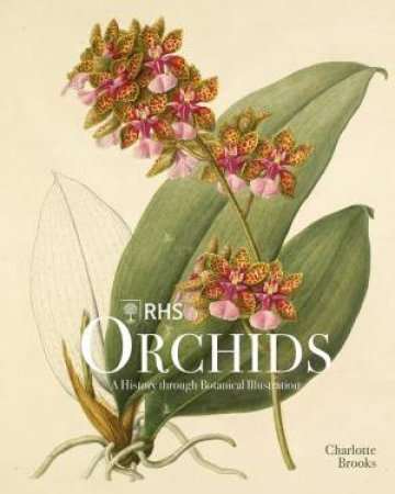 RHS Orchids by Charlotte Brooks