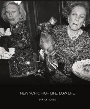 New York: High Life, Low Life by DAFYDD JONES