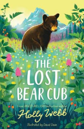 The Lost Bear Cub by Holly Webb & David Dean