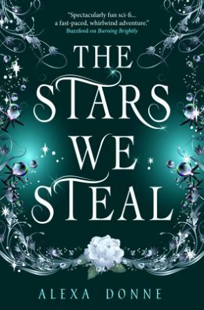 The Stars We Steal by Alexa Donne